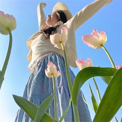 世界屋脊的太阳